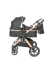 Lorelli Kinderwagen 2 in 1 Viola in schwarz