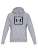 Under Armour Jacke RIVAL FLEECE LOGO HOODY in Hellgrau