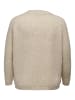 ONLY Pullover CARJADE in Beige