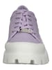 Steve Madden Sneaker in Lavendel