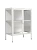 ebuy24 Vitrinenschrank FlokaS weiß Weiß 60 x 35 cm
