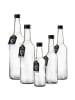 Ritzenhoff & Breker 5er Set Flaschen-Set Mara in transparent