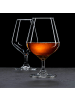 Ritzenhoff & Breker 4er Set Schwenkgläser Rumba 350 ml transparent in transparent