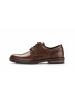 Gabor Business Schuhe für Herren in braun