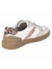 Bullboxer Low Sneaker in beige