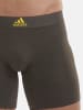 adidas Boxer Multi Stretch in Schwarz