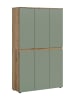 ebuy24 Kleiderschrank Scarpa Staubgrün 105 x 37 cm