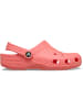 Crocs Classic in Rose403