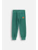 Coccodrillo Slim Fit Jogginghose in grün