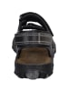 Josef Seibel Sandale Canim in schwarz/grey/schwarz