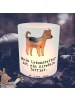 Mr. & Mrs. Panda Deko Windlicht Airedale Terrier Lebensretter mi... in Transparent
