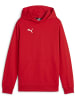 Puma Hoodie "TeamGoal CasuaLongsleeve Hoody Jr" in Rot