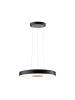 paulmann LED Pendelleuchte Puric Pane