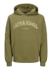 Jack & Jones Kapuzenpullover in Cedar