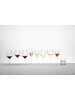 RIEDEL Glas 2er Set Sauvignon Blanc Gläser + Poliertuch Veloce 347 ml in transparent