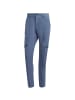 adidas TERREX ZUPAHIKE PANTSM in Blau