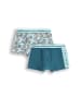 Coccodrillo Unterhose in bunt