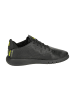 Geox Sportliche Schnürschuhe in Schwarz