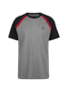 Lyle & Scott T-Shirt Three Panel Sleeve in grau / rot