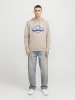 Jack & Jones Kapuzenpullover in Moonbeam
