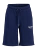 JACK & JONES Junior Shorts 'Vesterbro' in blau