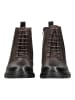 Geox Stiefelette in Coffee