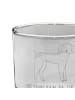 Mr. & Mrs. Panda Whiskey Glas Hund Dogge mit Spruch in Transparent