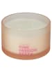 Butlers Duftkerze MELLOW MOOD Pink Passion Reef in Pastellrot