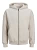 Jack & Jones Kapuzenjacke in Moonbeam