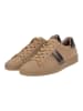 Paul Green Sneaker Nut