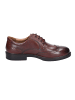 Josef Seibel Schnürschuh in braun