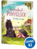 Loewe Verlag Buch - Reiterhof Ponyglück (Band 1) - Ein Pony für Sina
