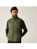 Regatta Andreson Bodywarmer in Oliv