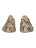 Paul Green Slipper in Beige