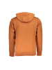 U.S. Polo Braun Herren Sweatshirt aus Baumwolle