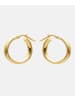 Vanlere Creolen aus 375 Gelbgold