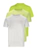 Endurance T-Shirt Vernon V2 in Electric Lime Pack