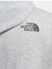 The North Face The North Face Kapuzenpullover in light grey heather