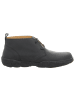 El Naturalista Stiefelette in schwarz