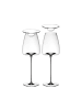 ZIEHER 2er Set Weingläser + Deckel Vision Straight in 540 ml in transparent