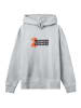 F4NT4STIC Hoodie Geishora Japan Streetstyle in grau meliert