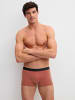 Calida New Boxer, 3er-Pack in marsala