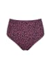 Studio Untold Bikini Slip in aubergine