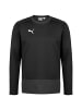 Puma Sweatshirt teamGOAL 23 in schwarz