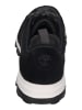 Timberland Sneaker Low Treeline in schwarz