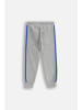Coccodrillo Jogginghose in grau