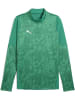 Puma Pullover "TeamCUP Training 1/4 Zip Top" in Grün