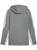 Puma Jacke "TeamEVOSTRIPE Hooded Jacket" in Grau