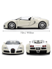 Jada 2011 Bugatti Veyron | Fast & Furious | Die-Cast Fahrzeug Collection