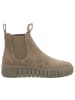 Tamaris Stiefelette in braun